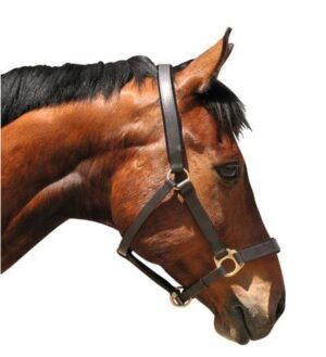 Kantar dla konia Eco, skórzany, brązowy, Covalliero full