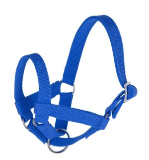 KANTAR DLA LAM I ALPAK ROZM. 50 NIEBIESKI HS