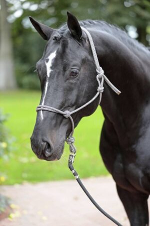 Kantar sznurkowy, granatowy/beżowy, roz. pony