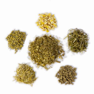 Mieszanka Dla Zwierząt Pokarm Dla Cieląt Źródło Energii Suchy TMR 20 KG