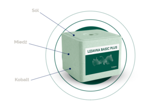 LIZAWKA Z MINERAŁEM CIECH