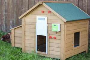 Automatyczne drzwiczki dla kur, kompletny zestaw, 300 x 400 mm, Kerbl