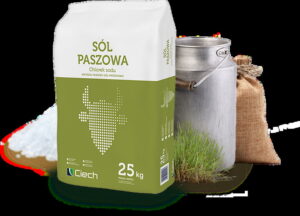 SÓL PASZOWA 1 KG