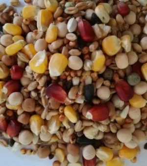 MIESZANKA ZBÓŻ UNIWER. 20KG BEST NATURAL dla gołębi