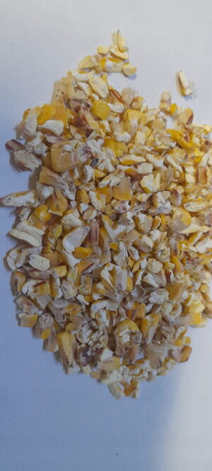 kukurydza grubomielona 1 kg do mieszania własnej paszy, dla koni, drobiu, kur