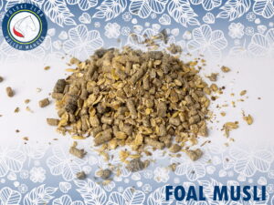 Foal Musli 20kg - dla źrebiąt w pierwszych miesiącach życia