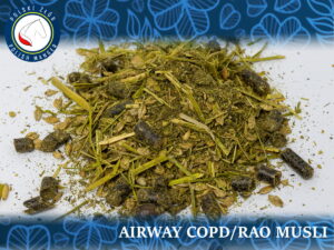 VIGOR AIRWAY MUSLI COPD/RAO 20KG musli dla koni z problemami oddechowymi