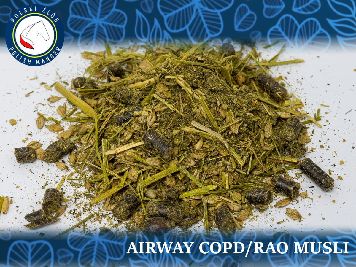 VIGOR AIRWAY MUSLI COPD/RAO 20KG musli dla koni z problemami oddechowymi