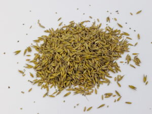 OWIES dla kur i drobiu oraz komponowania własnych pasz