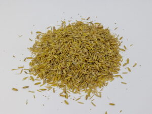 ŁUSKA OWSIANA dla kur i drobiu oraz komponowania własnych pasz