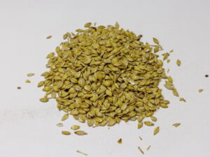 JĘCZMIEŃ MIKRONIZOWANY KG