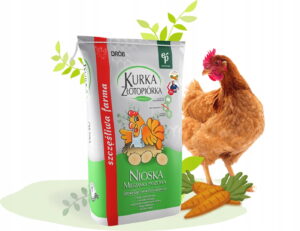 NIOSKA EKOPLON 10KG pasza karma dla kur niosek na nieśność dla kur