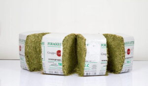 LUCERNA BALOT 20KG dla kur i drobiu oraz komponowania własnych pasz