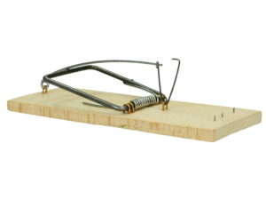 RAPAX ŁAPKA NA MYSZY DREWNIANA