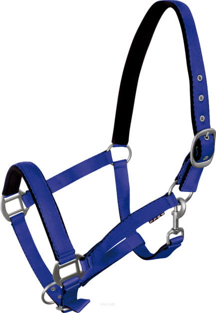 Kantar York Fluo niebieski Pony