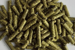 LUCERNA GRANULAT 25KG dla kur i drobiu oraz komponowania własnych pasz