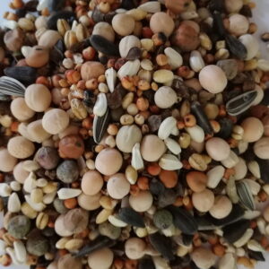 MIESZANKA ZBÓŻ BK 1 KG dla gołębi