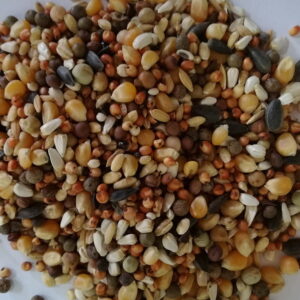 MIESZANKA ZBÓŻ OZDOB. 1KG BEST NATURAL