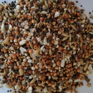 MIESZANKA ZBÓŻ DN 20KG BEST NATURAL