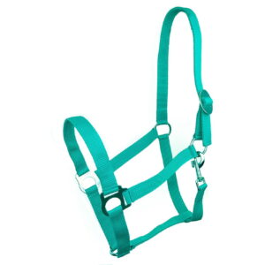 Kantar York Harmony  turkusowy PONY