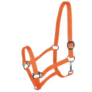 Kantar York Harmony pomarańczowy PONY