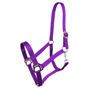 Kantar York Harmony fioletowy Cob