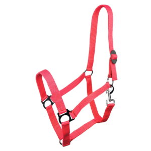 Kantar York Harmony koralowy PONY