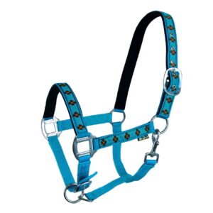 Kantar York Kimi turkusowo-brązowy x-full