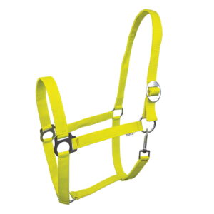 Kantar York Lita zielony Pony