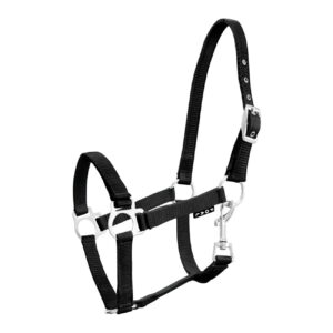 KANTAR YORK ŹREBIĘCY CZARNY