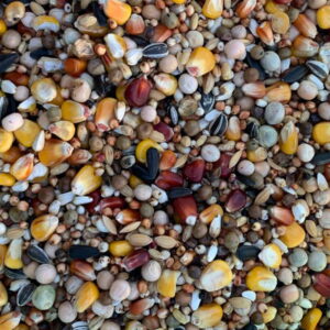 MIESZANKA ZBÓŻ RL 1 KG BEST NATURAL